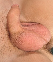 Randall 5d29a051c58cb.jpg
