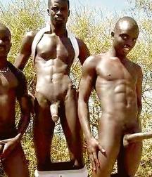 African Picnic 5cd78b07ee691.jpg