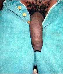 Prime cuts of dark meat 5ce04029b5c4a.jpg