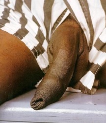 Prime cuts of dark meat 5ce040563665c.jpg