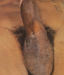 Vintage Black Boys 5 5ce14fd05fa14.jpg