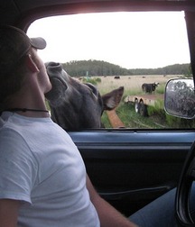 A Little Bit Country 5cd228f590d23.jpg