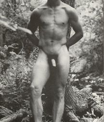 The Gays of Old 4 5cde550c68d38.jpg