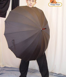Zoom 5ce32d501eba8.jpg