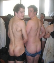 Butts and Holes 2 5cedf938c809a.jpg