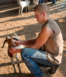 A Little Bit Country 7 5d44279e04be2.jpg