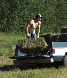 A Little Bit Country 9 5d50d4e83d689.jpg