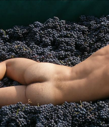 Butts and Holes 15 5d6ed48212c12.png