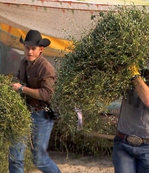 A Little Bit Country 20 5db4b8f34a93f.jpg