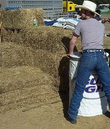 A Little Bit Country 20 5db4b8f9d8bc1.jpg
