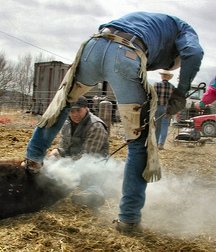 A Little Bit Country 24 5dcf30c1541b0.jpg