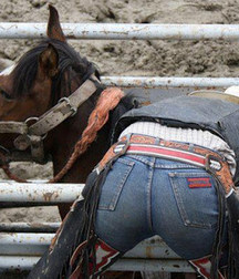 A Little Bit Country 25 5dd737d9bfe83.jpg