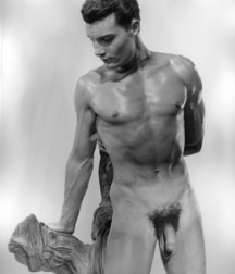 The Gays of Old 34 5ddf06174d56f.jpg