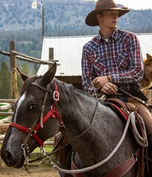 A Little Bit Country 27 5de31824dfe05.jpg