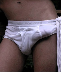 Tighty Whitey Boys 5de81b9fbd9dc.png