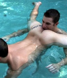 Tossed Salad 5ded93e95c739.jpg