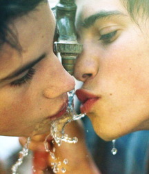 Bromance 4 5e265231edadf.jpg