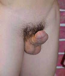 Cocks Out 16 5e27a44132423.jpg