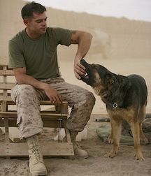 Brothers in Arms 4 5e43229d51cf6.jpg