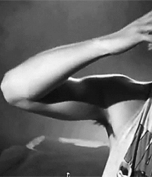 Pit-a-palooza 157 5e489dee44462.gif