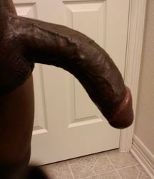 Black Beauties 5e62ddd4338d6.jpg