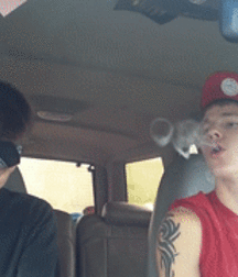 Life's a Drag 25 5e72a1da3563d.gif