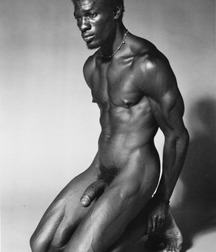 Black Beauties 5 5e8fb6643008d.jpg