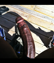 Black Beauties 6 5e9ce2038bb1e.png