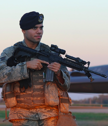 Brothers in Arms 20 5ea36e484dbbd.png