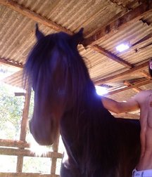 Luscious Locks 27  5ea8c3e4b8d61.jpg