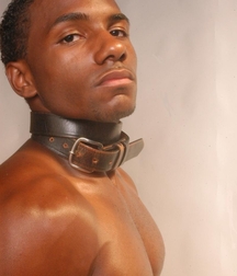 Black Beauties 6 5eae16dedb01c.jpg