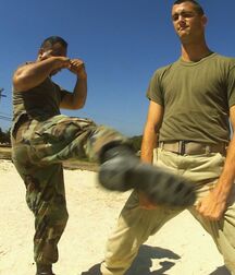 Brothers in Arms 25 5ec6ef1545153.jpg