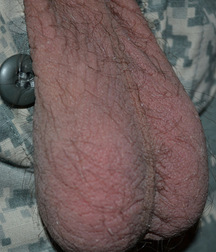 Brothers in Arms 26 5ecc554aa5560.jpg