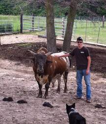 A Little Bit Country 51 5edd7128d615e.jpg