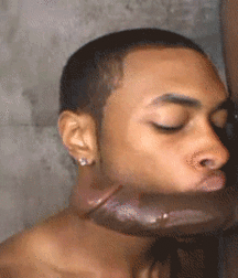 Black Beauties 10 5ee17113c0a25.gif