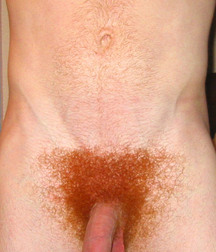 Kissed by Fire 40 5ee6b1f8d99e7.jpg