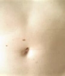 Bellybuttons 5ebb245f0d3a4.jpg