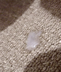 Skater Boy DAN1 Wank 'n' Cum Huge 3 Day Load on my Board :P 5ce0131078ee7.jpg