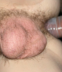 Sex 5d3c396d3080b.jpg