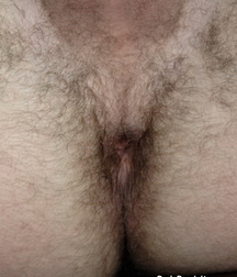 James solo gay boys porn 609ae6209b667.jpg