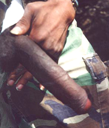 Assorted blacks, latinos, and asians II 5cf2c45fc8d94.jpg
