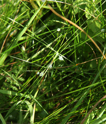 Vik (Outdoors) First Set 5cf81eb7297f7.jpg