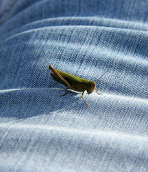 Lenny  (Outdoors) Third and Last Set 5d0f0ef864ae6.jpg