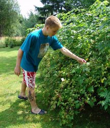 William (Outdoors) 5d53c852e2455.jpg