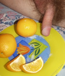 Donat 5de66a4fa6efe.jpg