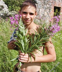 Leo 5de688acdda8d.jpg