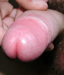 Gamlet 5e023b80bf696.jpg
