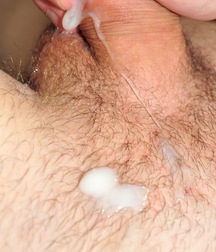 Gordei - 2 5e029b078d307.jpg