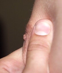 Jurasik blond boy porn teen 5e0fbba3bf9c6.jpg