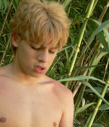 Guiles gay teen porn 5f3e72a28336a.jpg